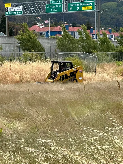 Thank you to Public Works Staff for Maintaining Mira Flores Project Area | Agradecimiento al personal de Obras Públicas por el mantenimiento del área del Proyecto Mira Flores